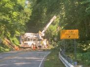 7/15/21 Tree Clearing