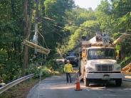 7/15/21 Tree Clearing