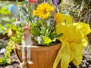 Basket of Flowers with Bunny