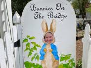 Bunnies on the Bridge