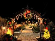 Winter Lights on the Flowering Bridge