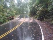 Buffalo Shoals Road with Cleared Tree