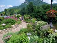Flowering Bridge