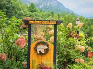 Lake Lure Flowering Bridge photo by Robbie Caponetto