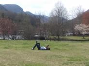 Man on Conference Call in Morse Park