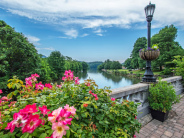 Flowering Bridge in Spring