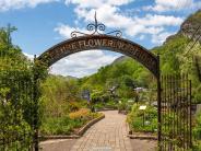 Lake Lure Flowering Bridge