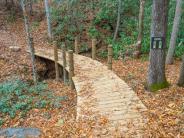 Bridge in Buffalo Creek Park