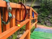 Pet Collars and Tags on Rainbow Bridge