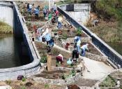 Picture Showing the Creation of the Flowering Bridge 
