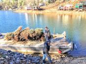 Chris Shields and Donnie Martin Putting Christmas Trees in the Lake