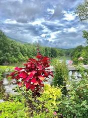 View from Lake Lure Flowering Bridge