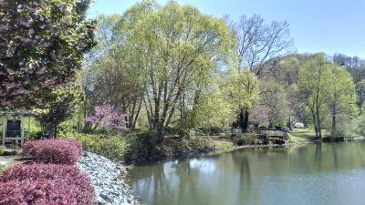 Spring in Morse Park
