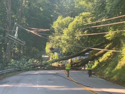 7/15/21 Tree Down Memorial Hwy