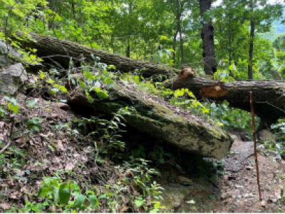 Weed Patch Mountain Storm Damage August 2021