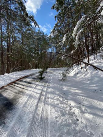 Snowy roads 1-17-22