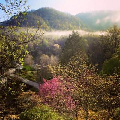 Spring in Lake Lure