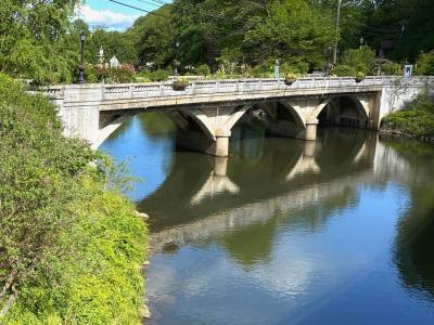 Lake Lure Flowering Bridge