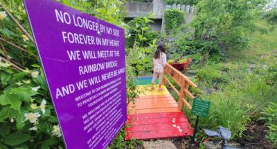 Picture of the Rainbow Bridge