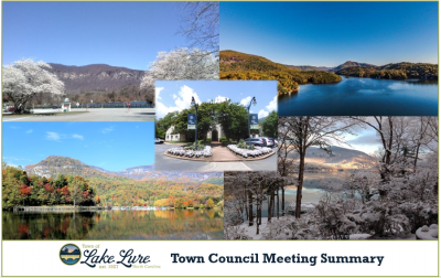 Town Council Meeting Summary