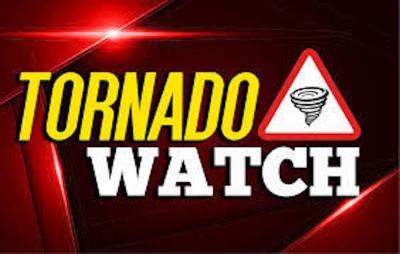 TORNADO WATCH Sign