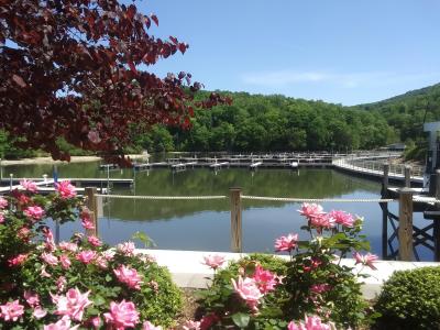 Photo of Lake Lure from the Marina