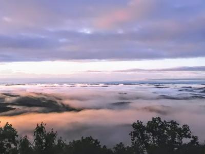 Early Morning Mist from Bill's Mountain