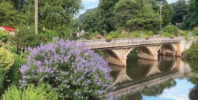 Lake Lure Flowering Bridge Photo