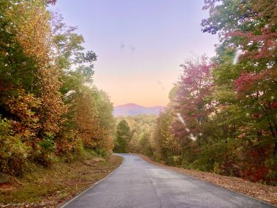 Fall leaves with mountain sunrise