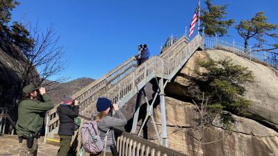  Christmas Bird Count at Chimney Rock