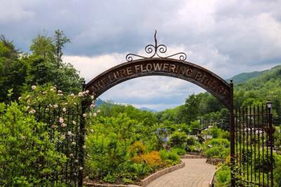 Lake Lure Flowering Bridge