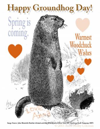 Ground Hog Day Image