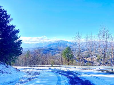 Icy roads