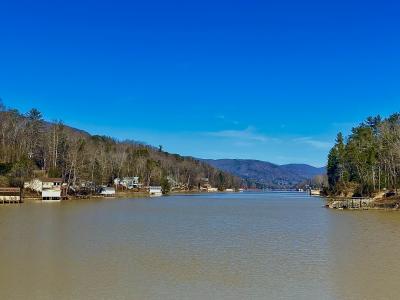 Lake Lure 1/22/25