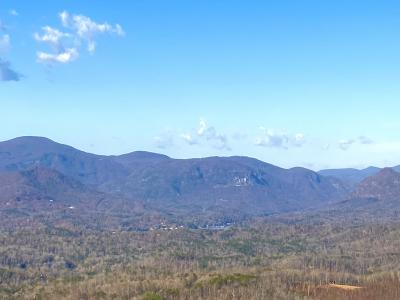 View of Lake Lure from Bills Mountain 