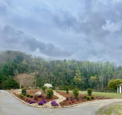 Morse Park Azaleas Blooming