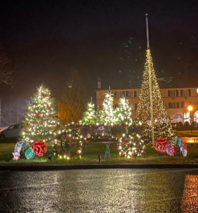 Lighted Christmas trees