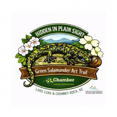 Hidden in Plain Sight logo