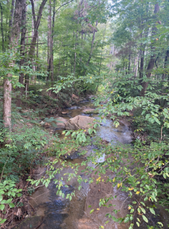 Buffalo Creek