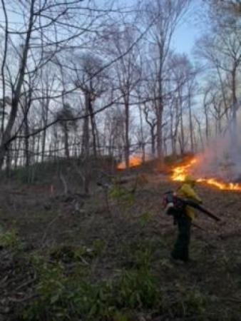 031922 Fire - Lake Lure