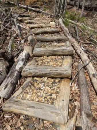 Sustainable Steps on Youngs Mountain