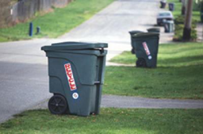 Trash cans lined along the curb waiting for pickup