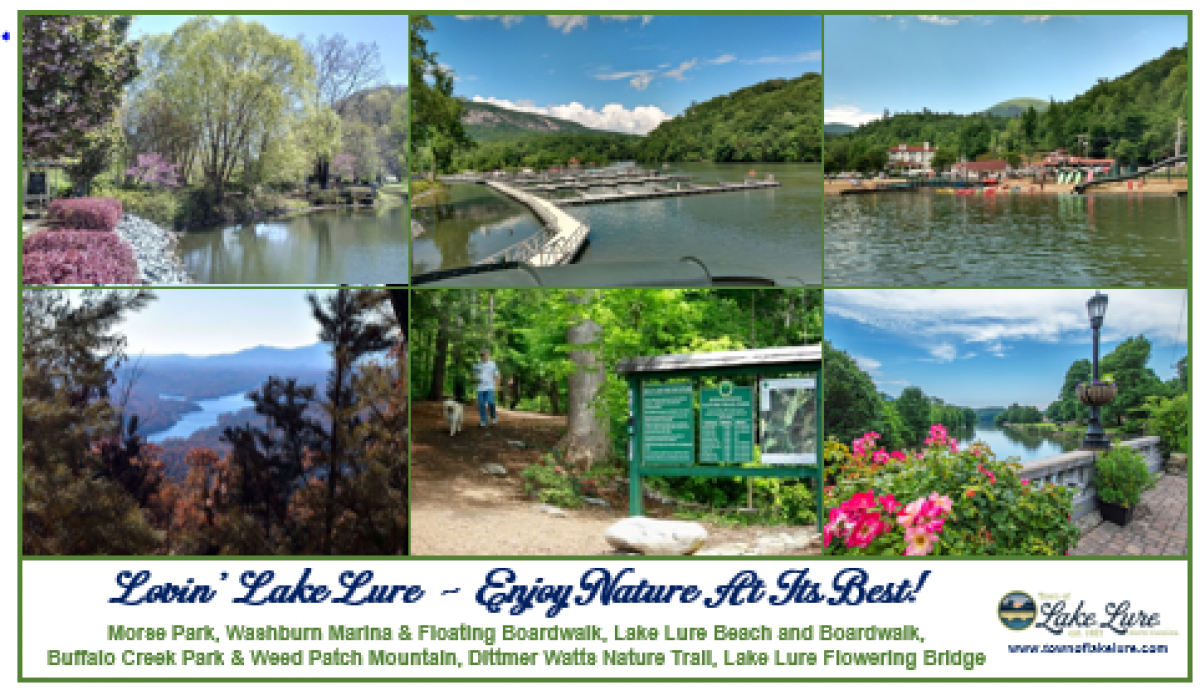 Lake Lure Parks