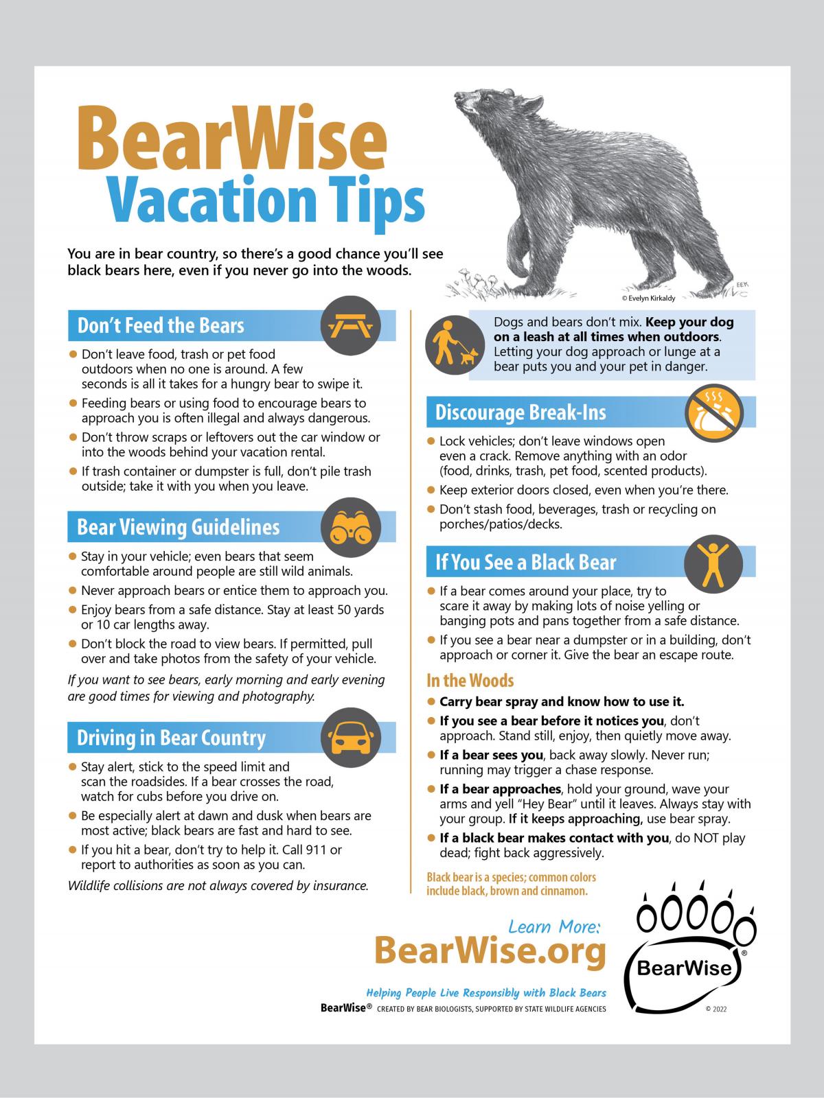 BearWise Vacation Tips