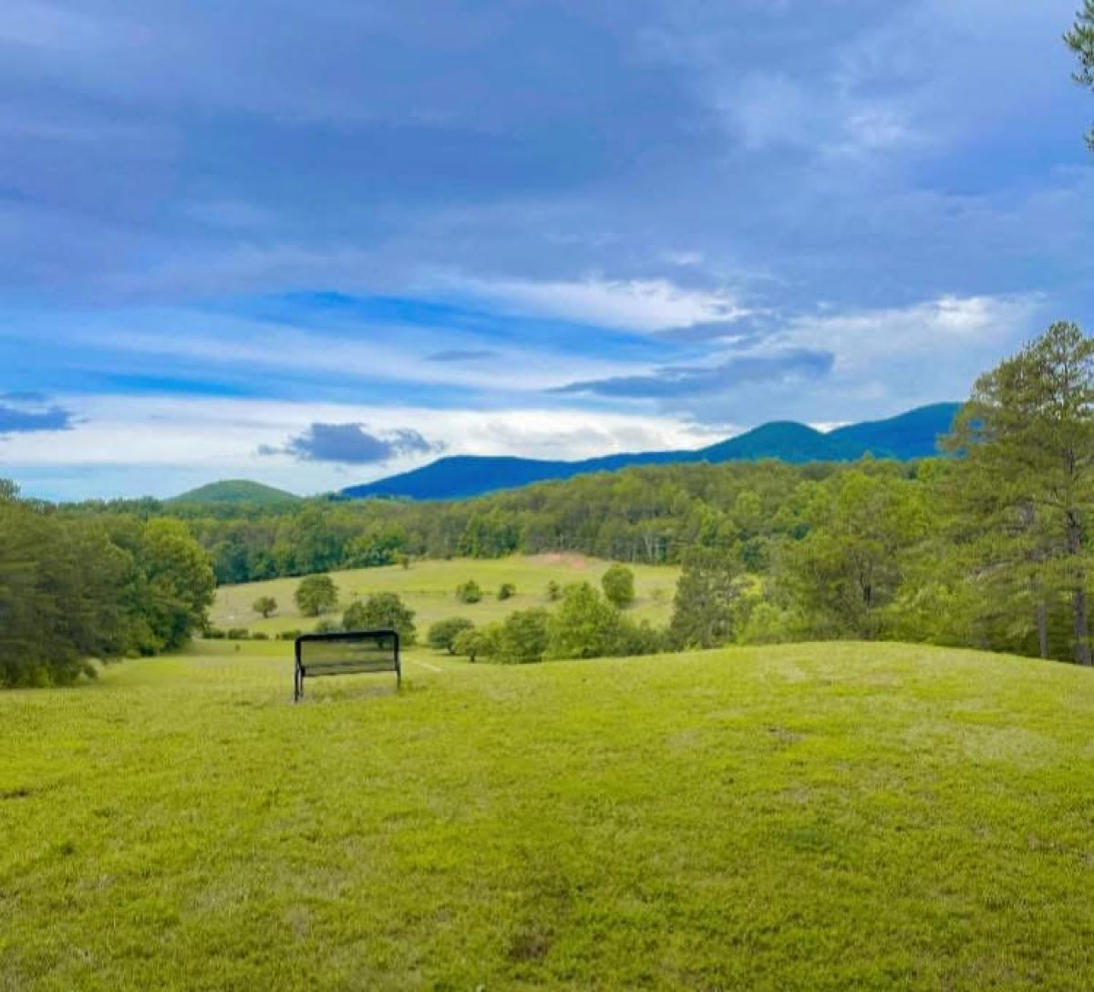 Bench at Lake Lure Green Space