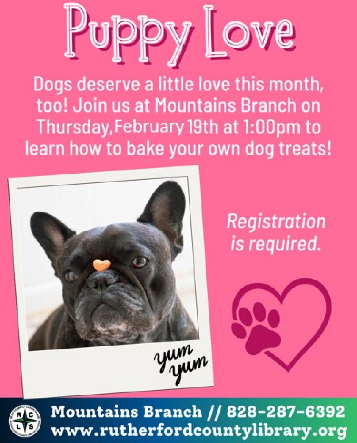 Mountains Branch Library Event - Puppy Love - 2/19/26 at 1:00