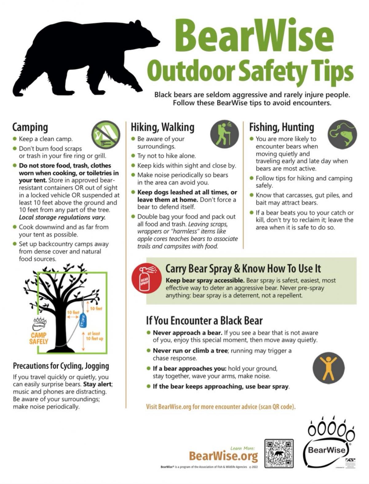 BearWise Outdoor Safety Tips