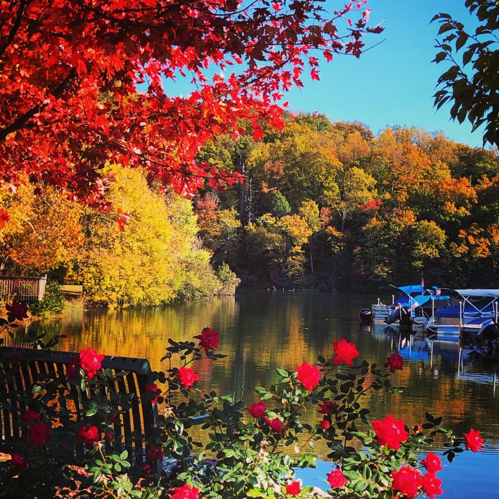 Lake Lure in the Fall! Lake Lure North Carolina