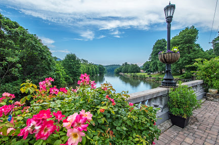 Lake Lure Flowering Bridge In North Carolina: A Blooming Marvel!