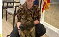 Meet Koda with Officer Burrell
